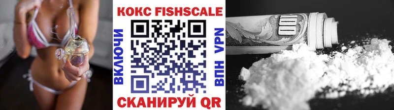 Cocaine FishScale Купить где Артёмовский