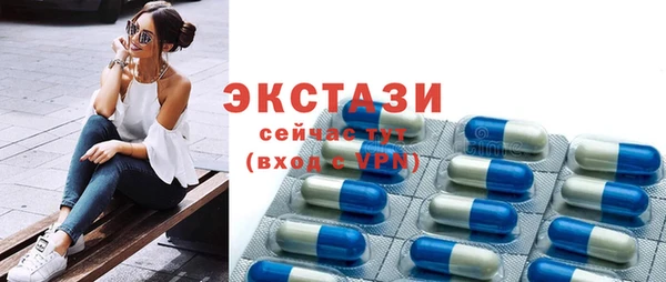 индика Козельск