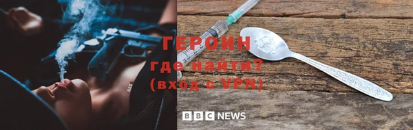 индика Козельск