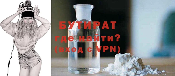 индика Козельск