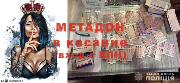 индика Козельск