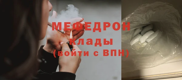 индика Козельск