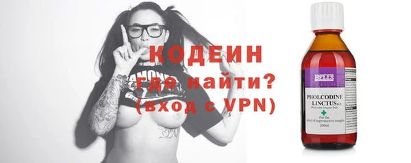 индика Козельск