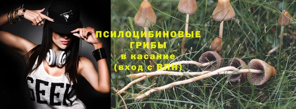 индика Козельск