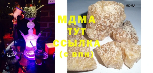 индика Козельск