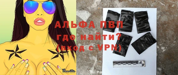 индика Козельск