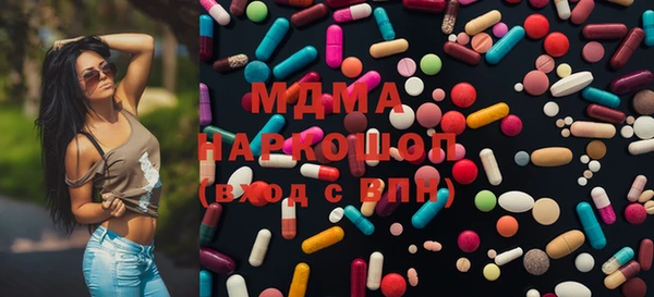 индика Козельск