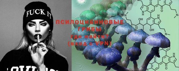круглые Кодинск