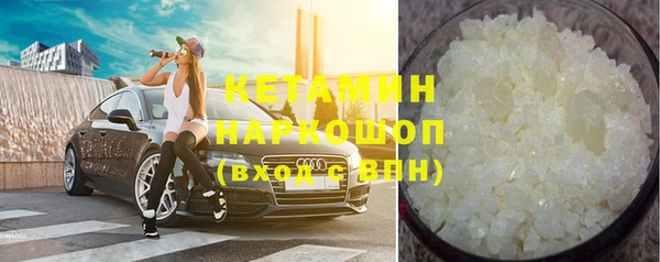 индика Козельск