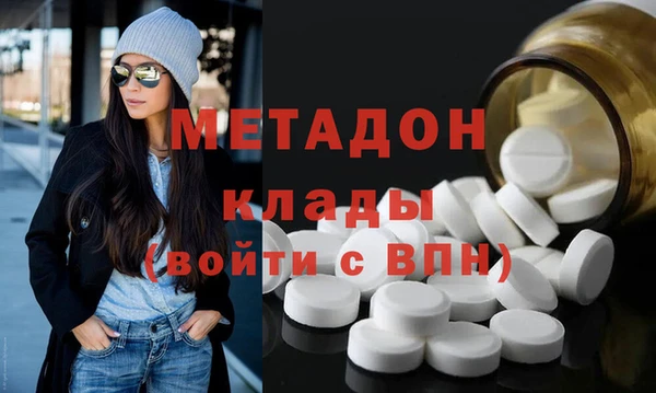 индика Козельск